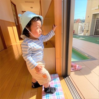 あおいデビュー.jpeg
