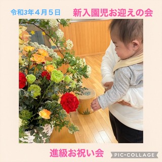 なる花.jpeg