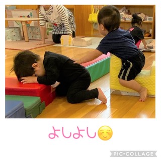 ばら1 (1).jpeg