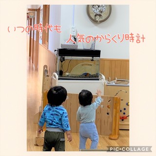 ばら1 (2).jpeg