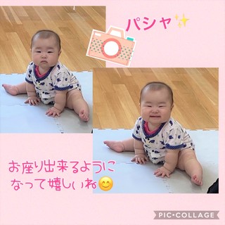 ひよりお座り.jpeg
