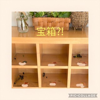 image1.jpeg