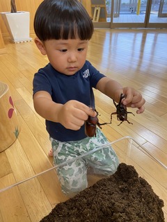 image2.jpeg