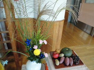 CIMG0068.JPG