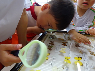 DSC00372.JPG