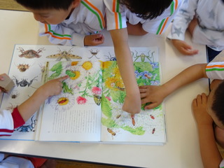 DSC00393.JPG