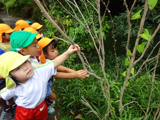 DSC01681.JPG