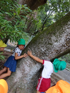 DSC01697.JPG