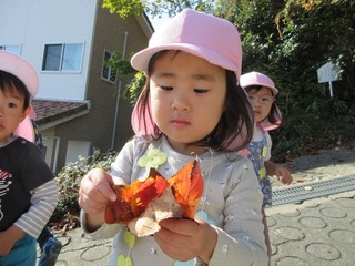 IMG_0585 (1).jpeg