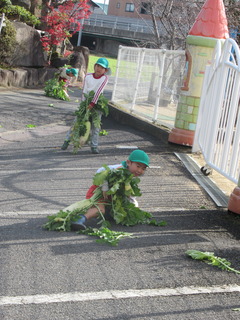 IMG_1847.JPG