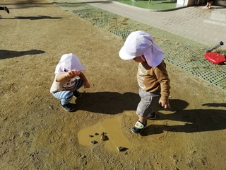 IMG_20241025_084950.jpg