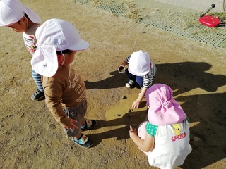 IMG_20241025_085015.jpg