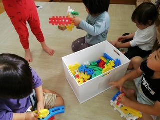 IMG_20241025_101430.jpg