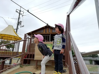 IMG_20241029_084323.jpg