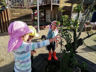 IMG_20241030_081004.jpg