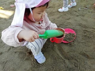 IMG_20241111_090825.jpg