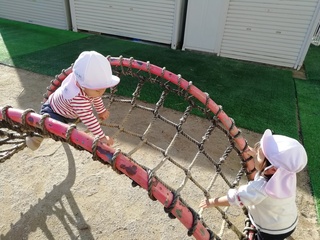 IMG_20241112_083857.jpg