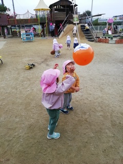 IMG_20241115_091108.jpg