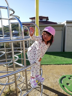 IMG_20241118_084135.jpg