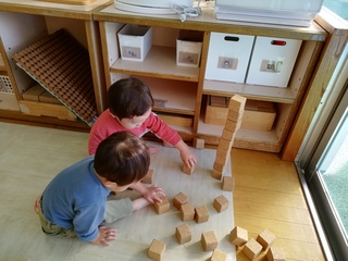 IMG_20241118_094436.jpg