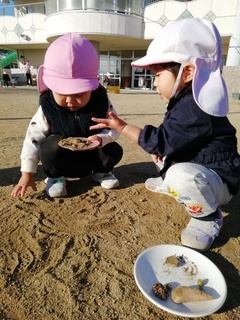 IMG_20241121_085224.jpg