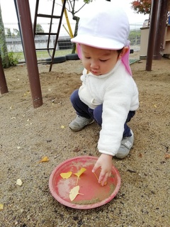 IMG_20241127_085125.jpg