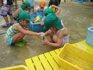 IMG_2259.JPG