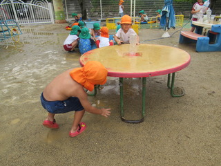 IMG_2263.JPG