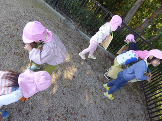P1060558.JPG