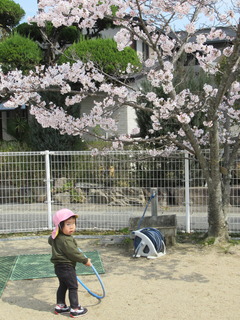 IMG_0338.JPG
